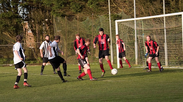 年轻球队的 年轻球队的