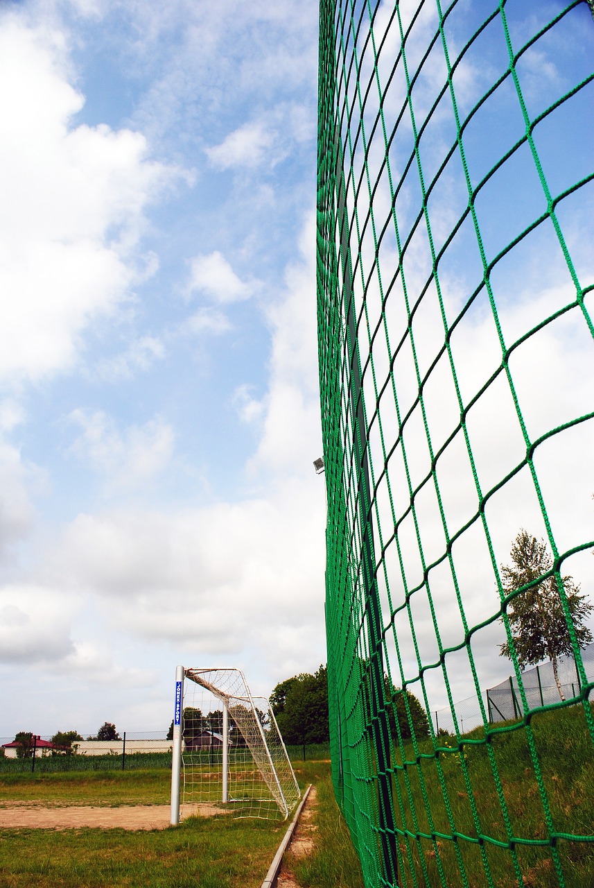 因为国王杯 因为国王杯