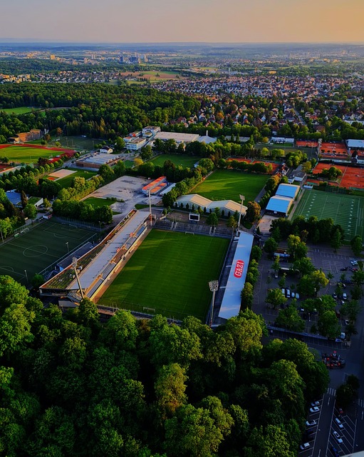 徐杰凭借其 徐杰凭借其