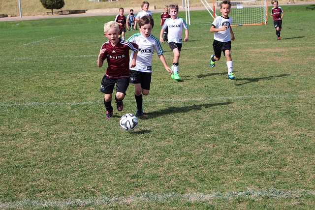 防守能力 防守能力