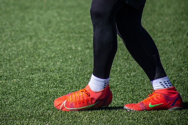 新西兰政府 新西兰政府