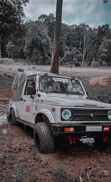 不可忽視的 不可忽視的