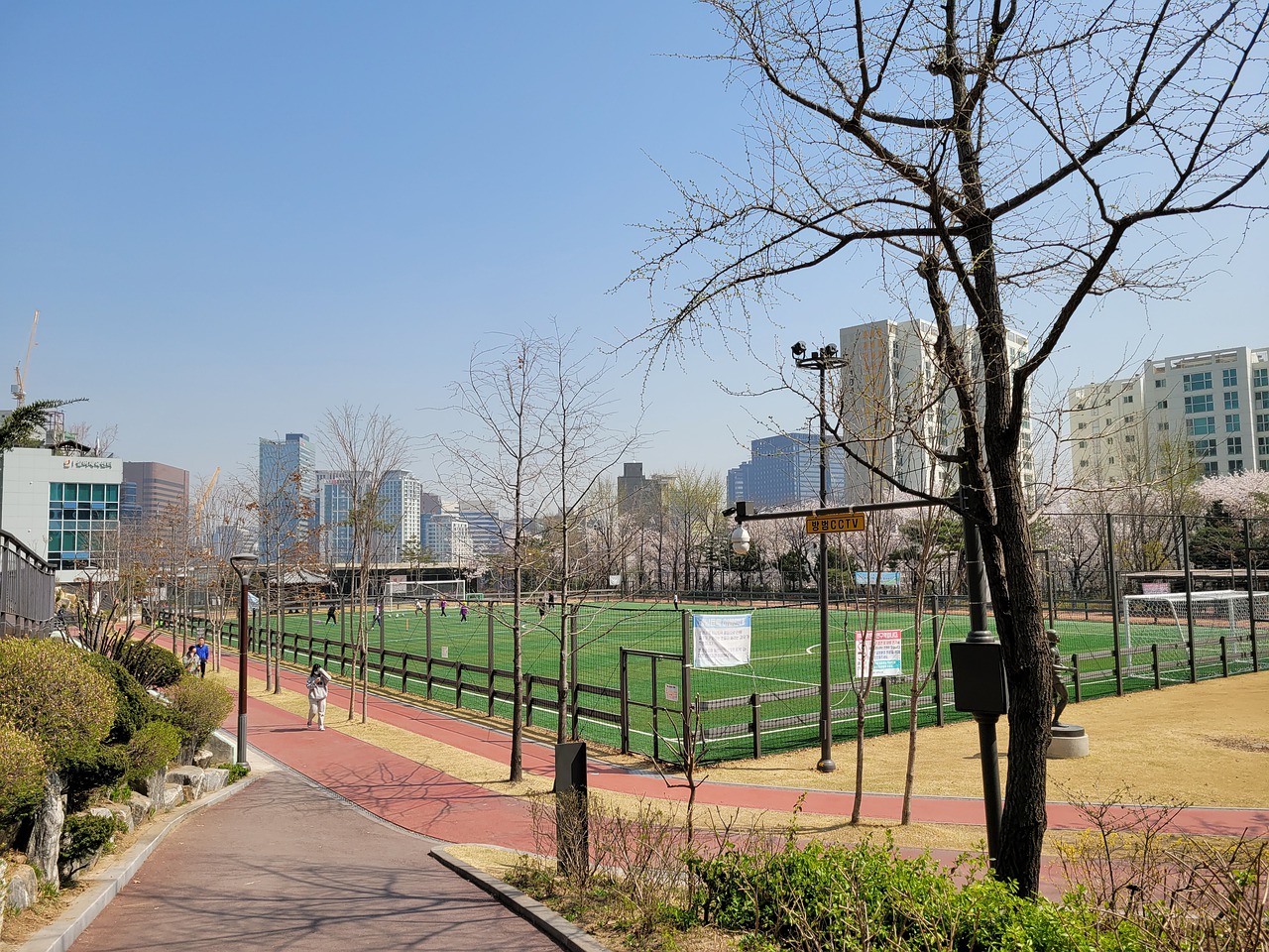 体达到最佳 体达到最佳